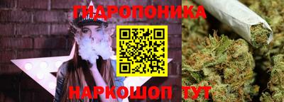 spice Кулебаки