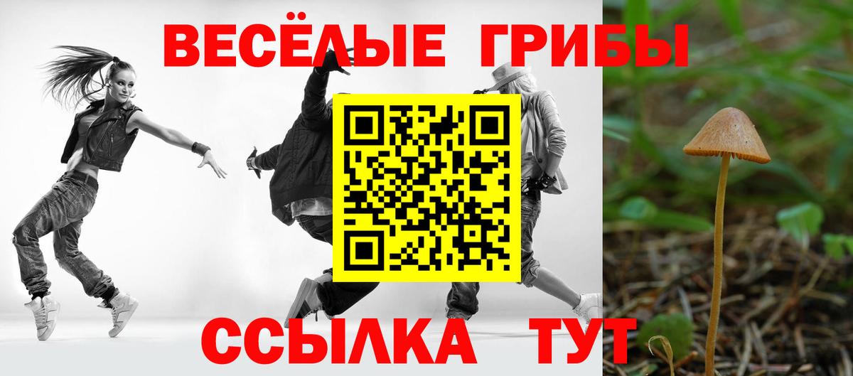 Дивногорск  наркошоп  Псилоцибиновые грибы Cubensis  Вход с VPN  Псилоцибиновые грибы ЛСД 